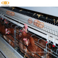 Multi-tiers chicken poultry farm battery chicken layer cage